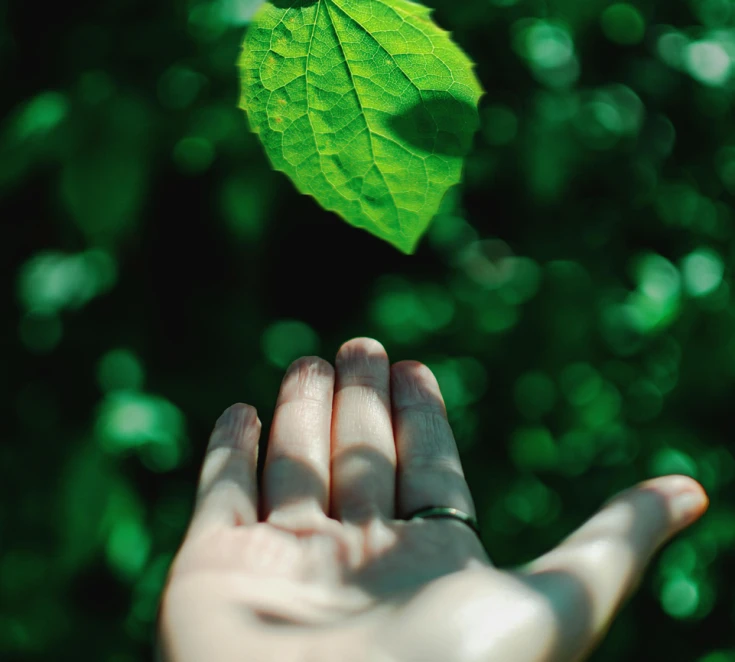 NATURE-FRIENDLY CLOTHING PRODUCTION